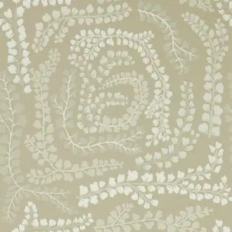 Fayola HC4W113018