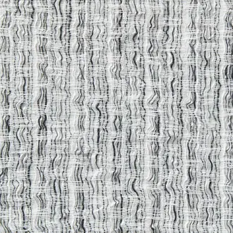 Agave 10862993