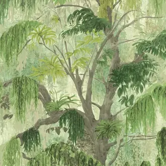 Trees TR70224