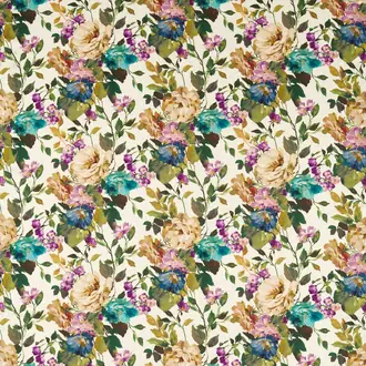 Bloom F1613-01
