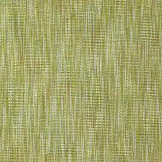 Lacerta 47 Meadow
