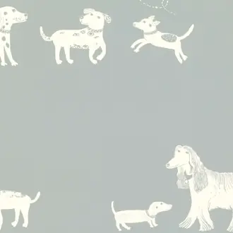 Fetch W565-01