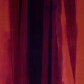 Amazilia Velvets 131510
