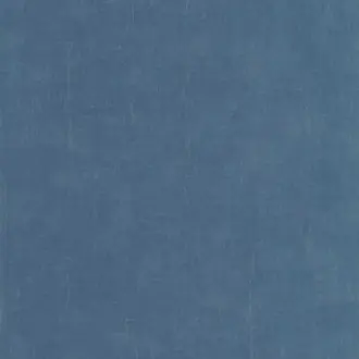 Etamine 200256606