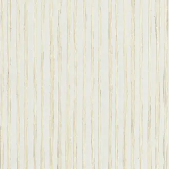 Zebra Grass 10365
