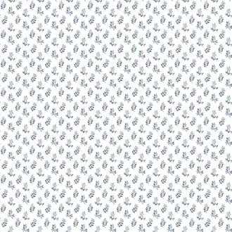 Small Prints G56708