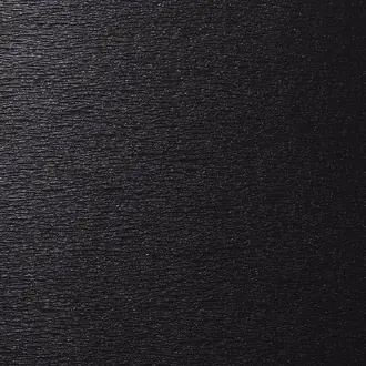 Epi Leather Refined Black 4148