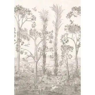 Tall Trees BW45141-4