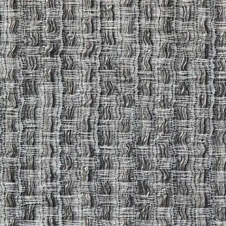 Agave 10862995