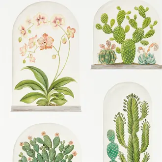 Terrariums 216655