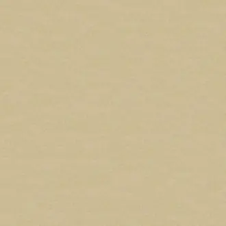 Amur 31 Gold