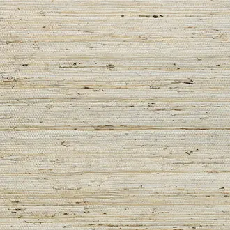 Kudzu 54540