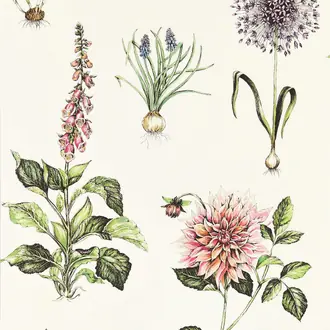 Roseraie W0197-05