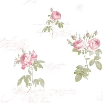 Rose Garden CG28820
