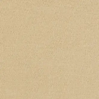 Anshu FDG2896-23