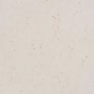 Ditto Wallcovering W627-03