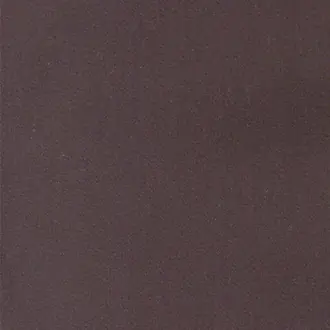 Zion 22 Ebony