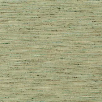 Palm Moss