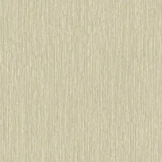 Anam 350957