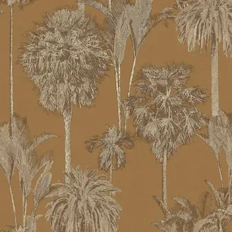 Oasis 317321