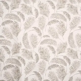 Pampas Grass 8767-022