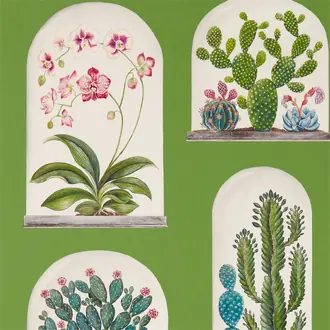 Terrariums 216656