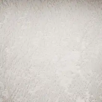 Poplar Ivory