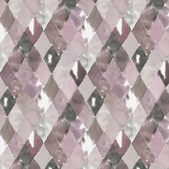 Big Harlequin R15571