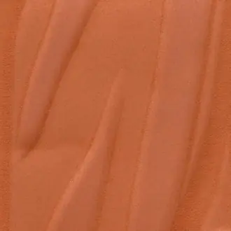 Herbier RM-1099-31