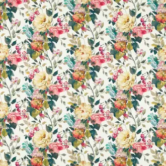 Bloom F1613-04