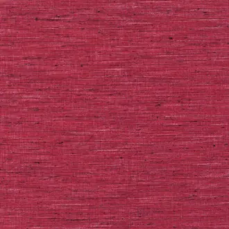 Palm Plum