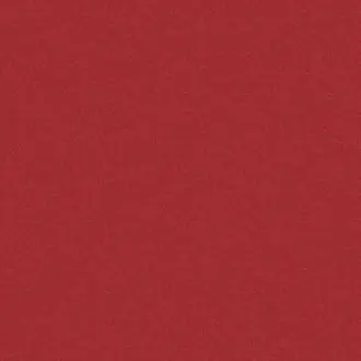 Amur 36 Red Rose