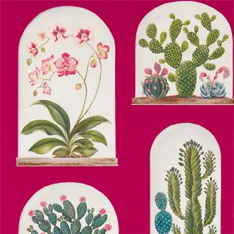 Terrariums 216657