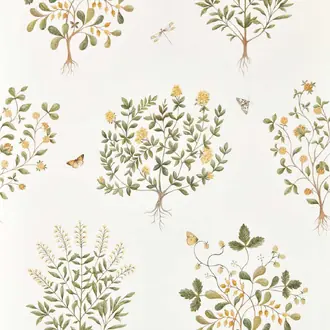 Thyme Walk 217508