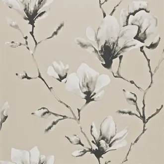 Lotus HMOW110878