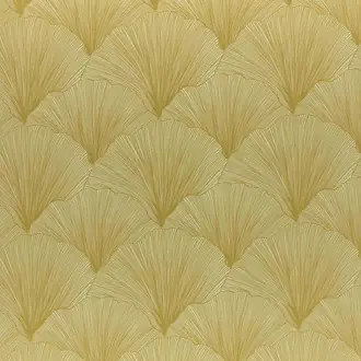 Maidenhair Mimosa
