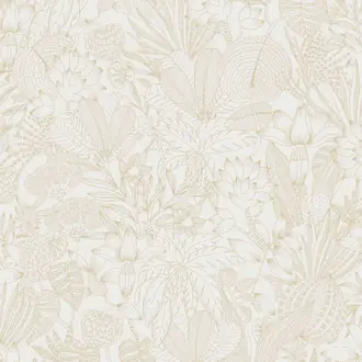 Bellis ROM102