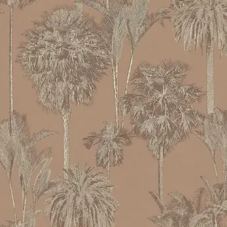 Oasis 317323