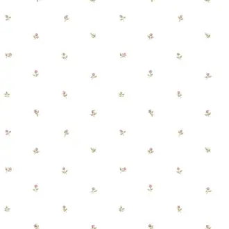 Rose Garden CG28872