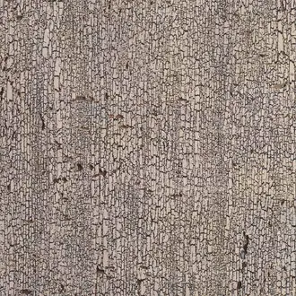 Scorched Birch Rind 2592