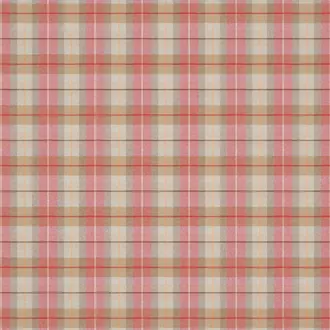Brunswick Check LF1565FR-002