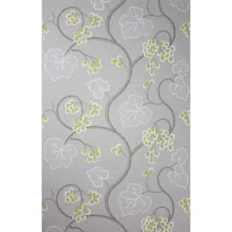 Shiraz W6494-01