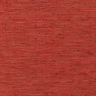 Palm Russet