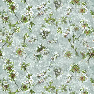 Fleur D Assam FDG3018-01