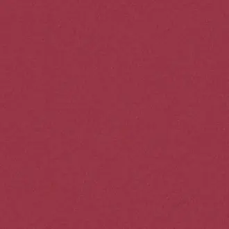 Amur 37 Shiraz