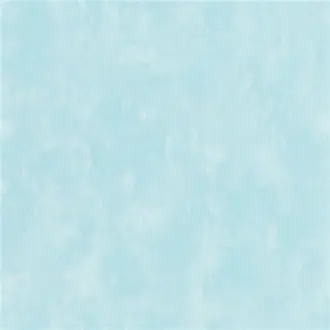 Parchment PDG719-25