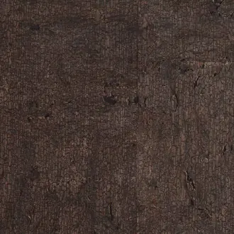 Scorched Blackened Bark 2597