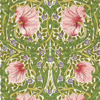 Pimpernel 217333