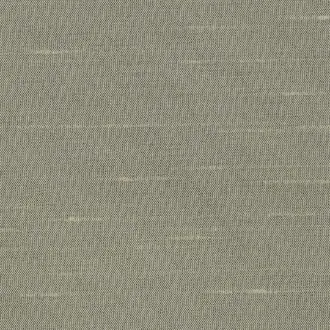 Astor 31554WC-10