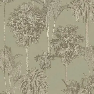 Oasis 317324